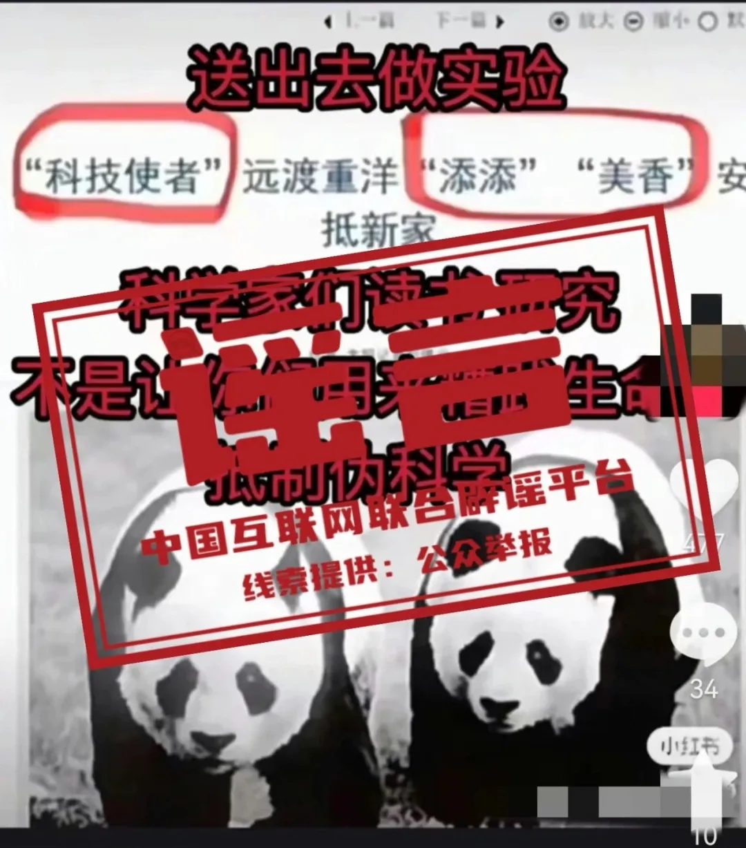 640_wx_fmt=jpeg&wxfrom=5&wx_lazy=1&wx_co=1&tp=webp.webp (3).jpg