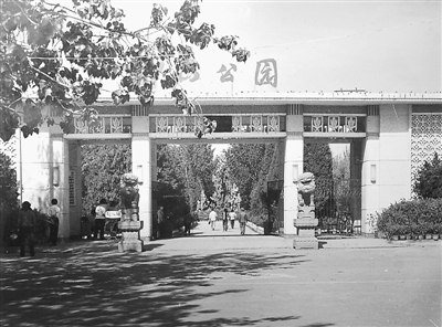 1545095920950075236.jpg 1545095920950075236.jpg