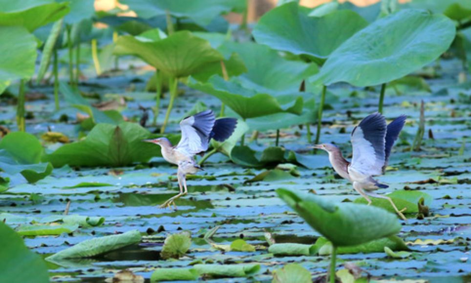 微信图片_20200720170534.jpg 微信图片_20200720170534.jpg