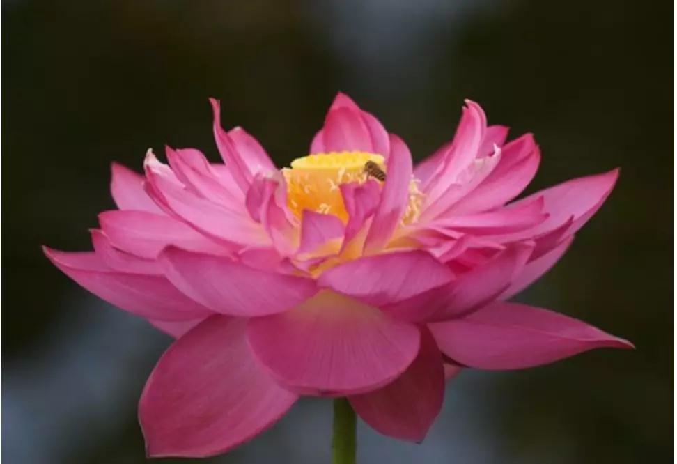 微信图片_20200720170555.jpg 微信图片_20200720170555.jpg