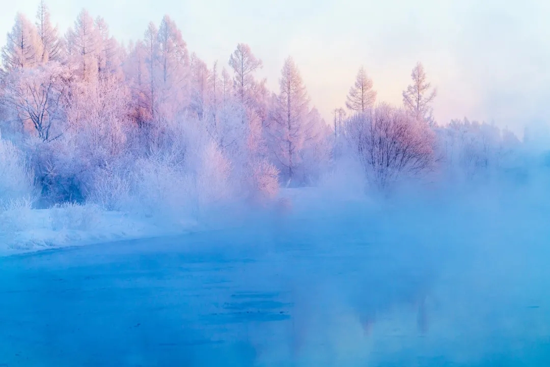 4.webp.jpg 4.webp.jpg