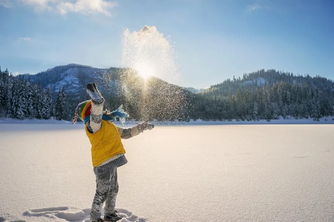 5.webp.jpg 5.webp.jpg