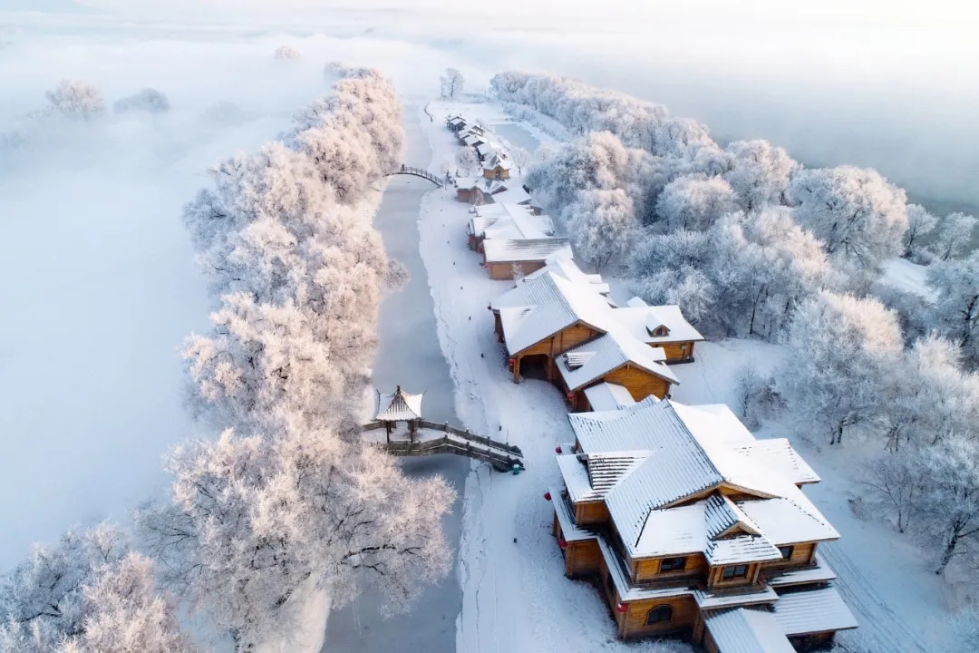 6.webp.jpg 6.webp.jpg