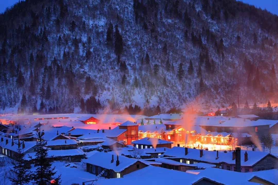 6.webp.jpg 6.webp.jpg