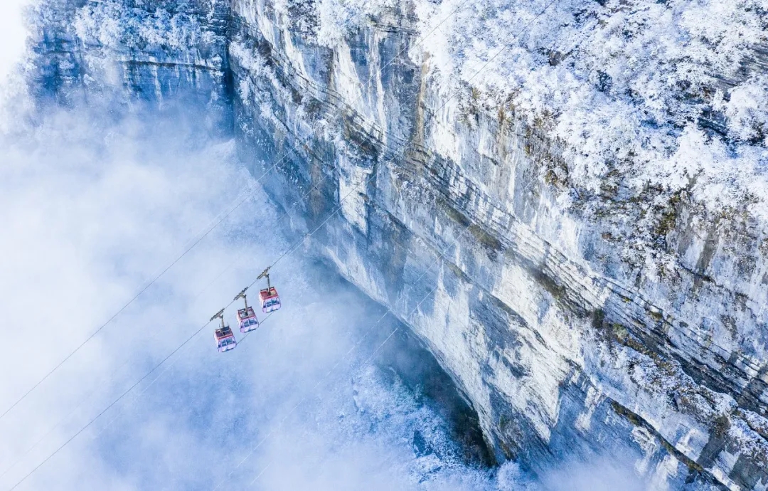 33.webp.jpg 33.webp.jpg