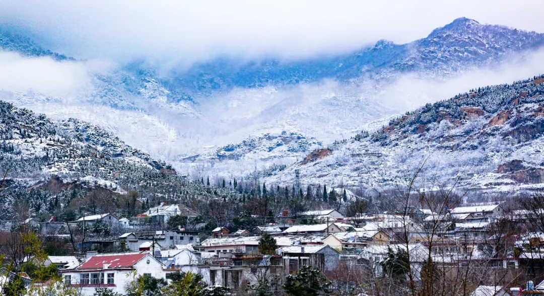 66.webp.jpg 66.webp.jpg