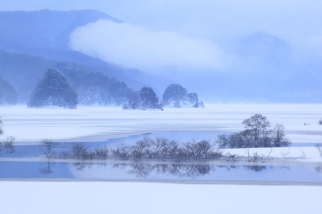 2.webp.jpg 2.webp.jpg