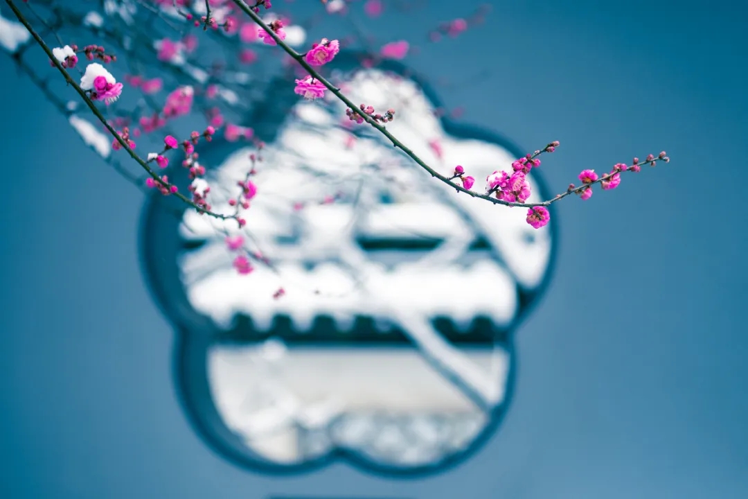 3.webp.jpg 3.webp.jpg