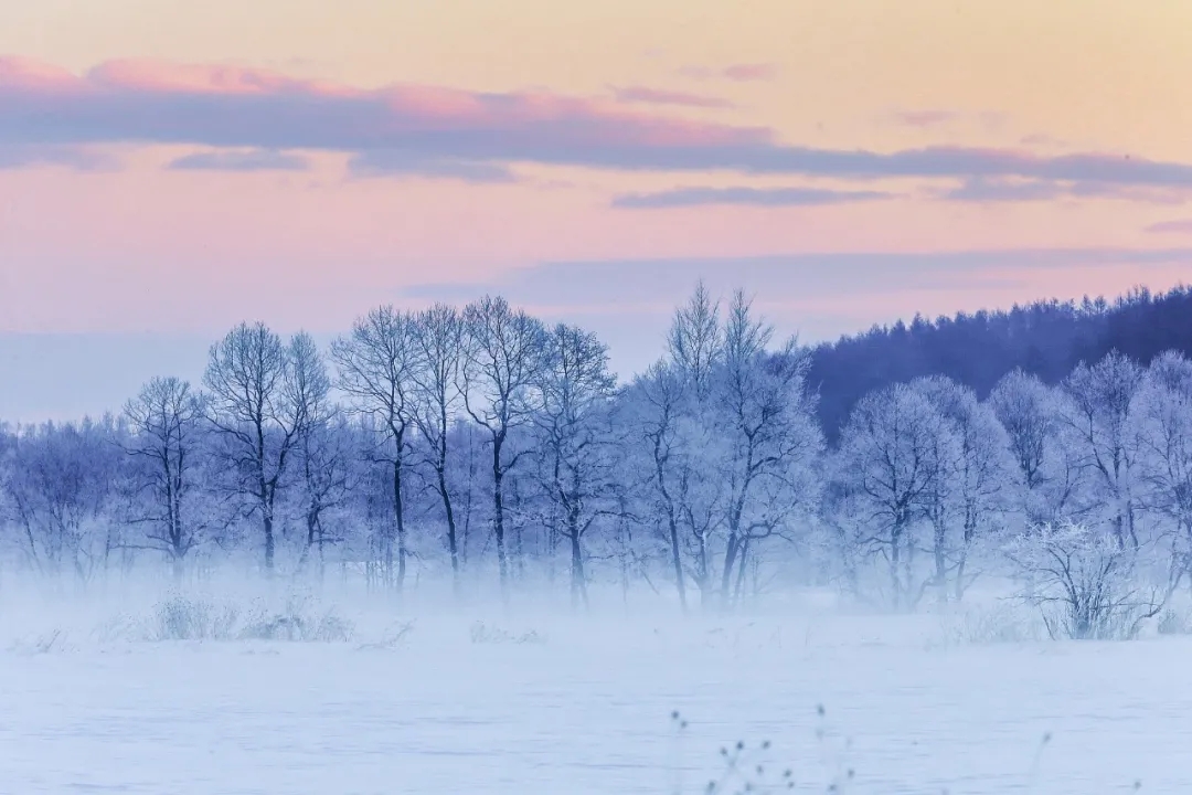 6.webp.jpg 6.webp.jpg