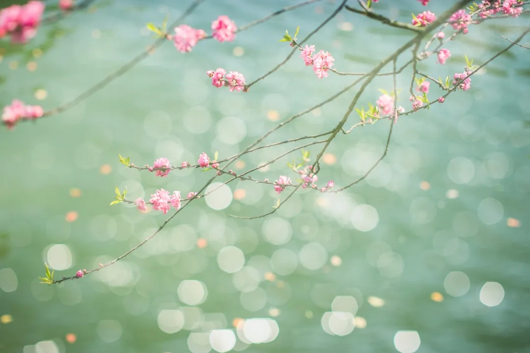 1.webp.jpg 1.webp.jpg