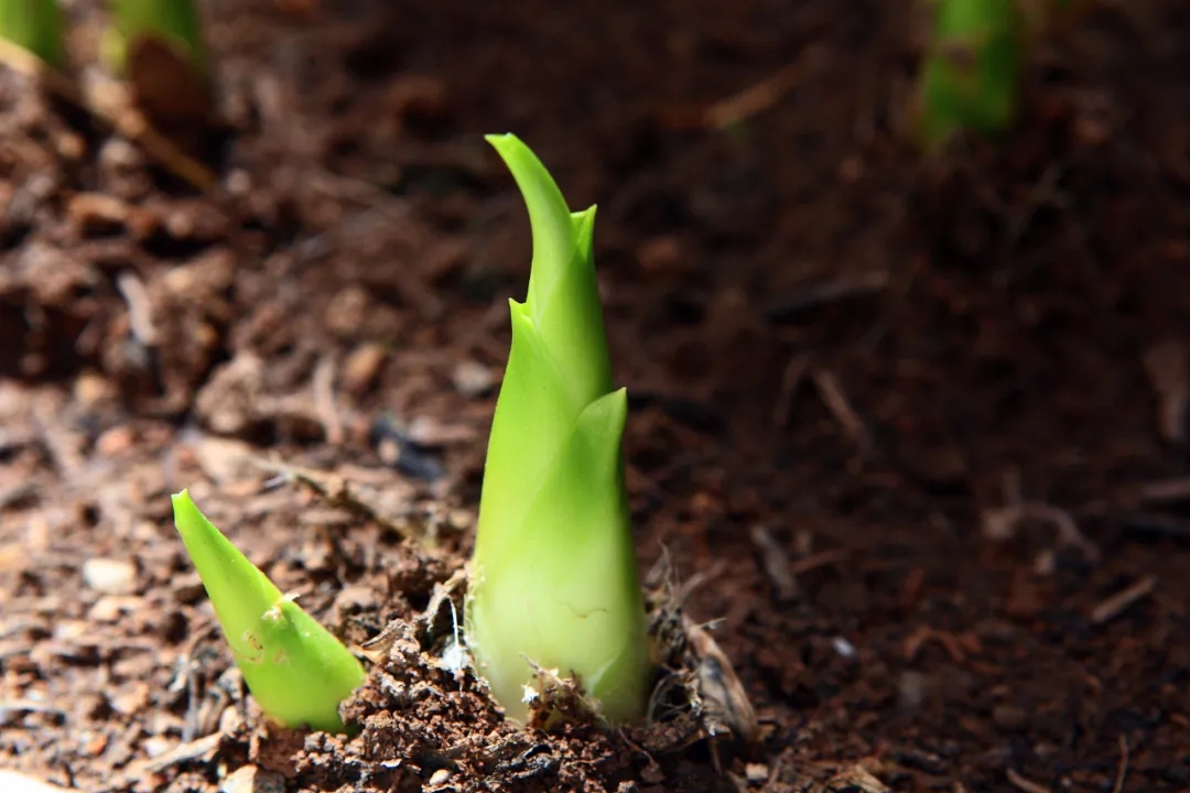 2.webp.jpg 2.webp.jpg