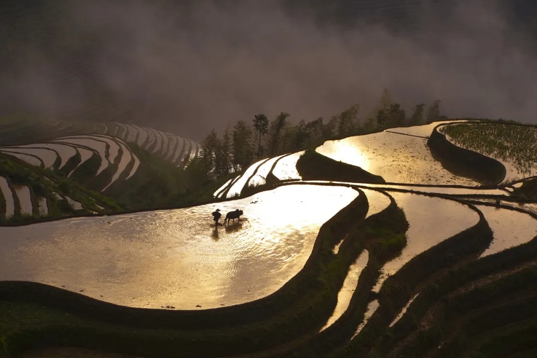 3.webp.jpg 3.webp.jpg