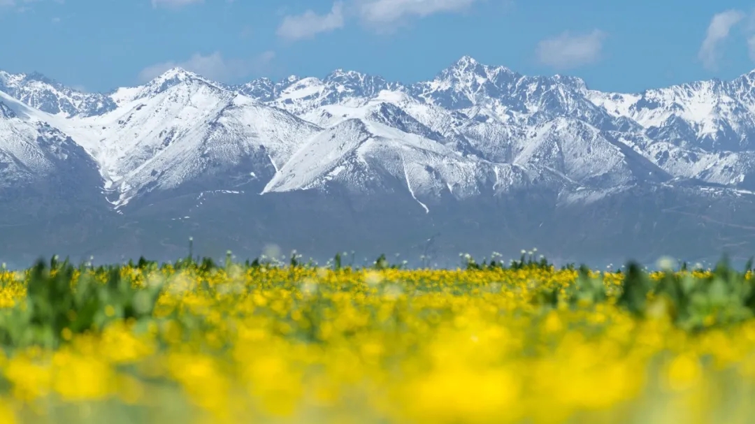 4.webp.jpg 4.webp.jpg