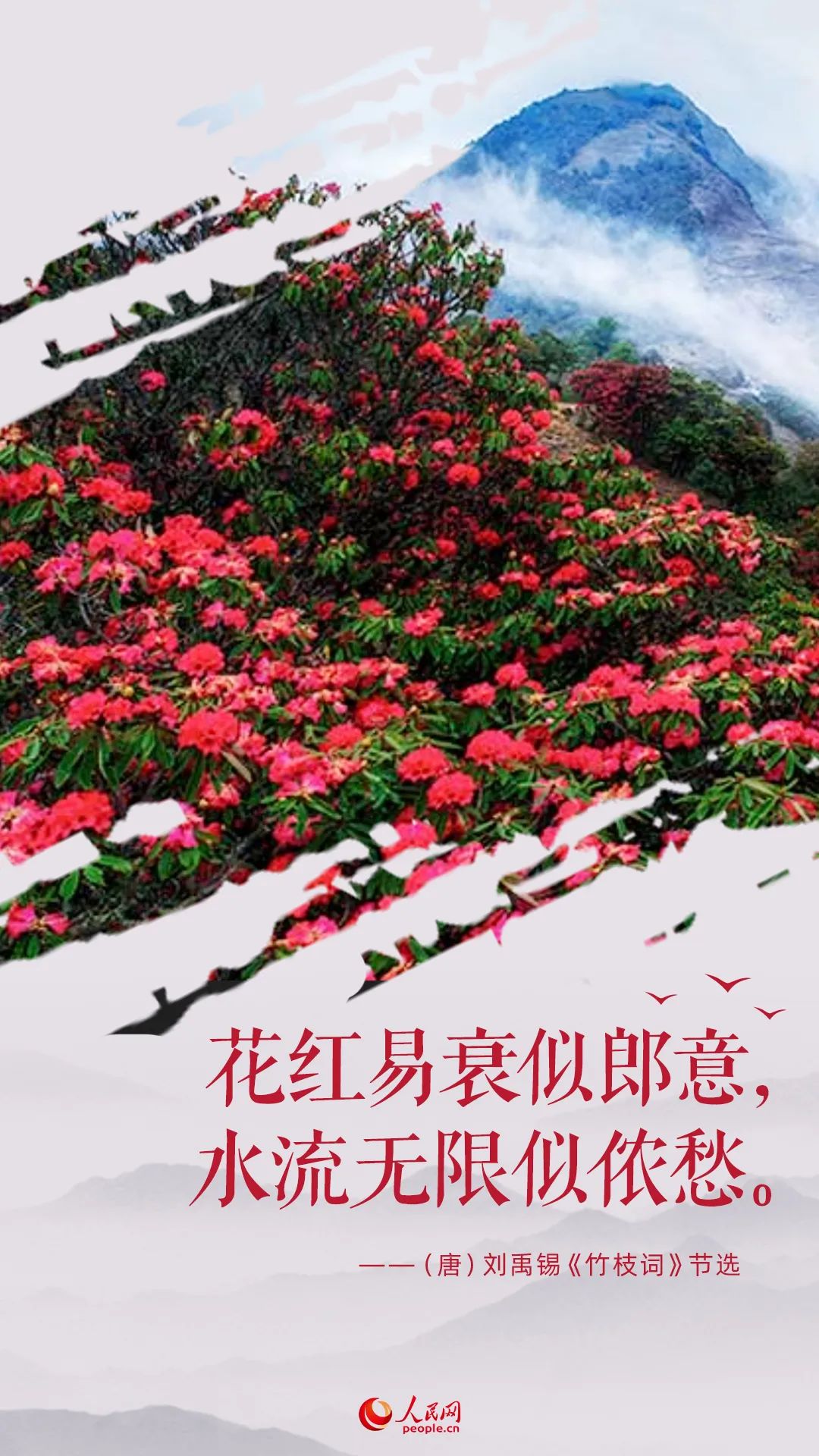 20220421_153445_018 - 副本.jpg