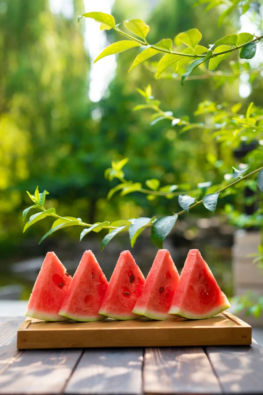 640_wx_fmt=jpeg&from=appmsg&tp=webp&wxfrom=5&wx_lazy=1&wx_co=1.webp (7).jpg