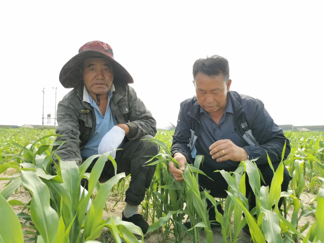 640_wx_fmt=jpeg&from=appmsg&tp=webp&wxfrom=5&wx_lazy=1&wx_co=1.webp (10).jpg