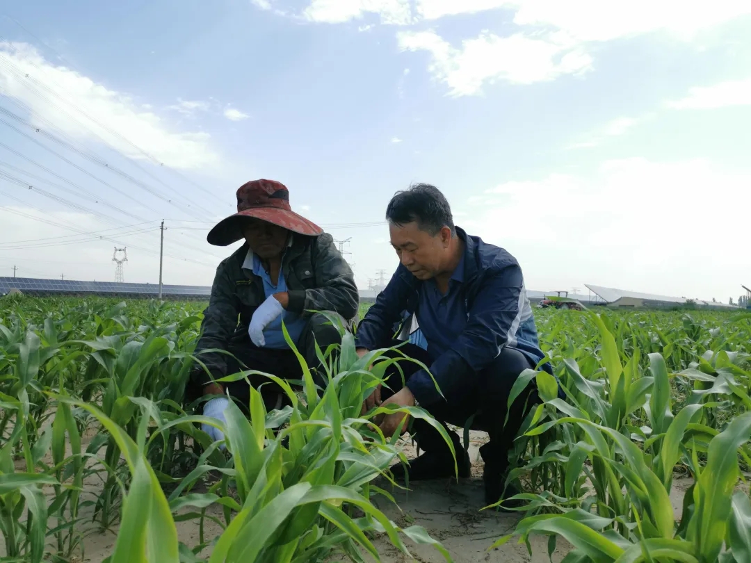 640_wx_fmt=jpeg&from=appmsg&tp=webp&wxfrom=5&wx_lazy=1&wx_co=1.webp (12).jpg