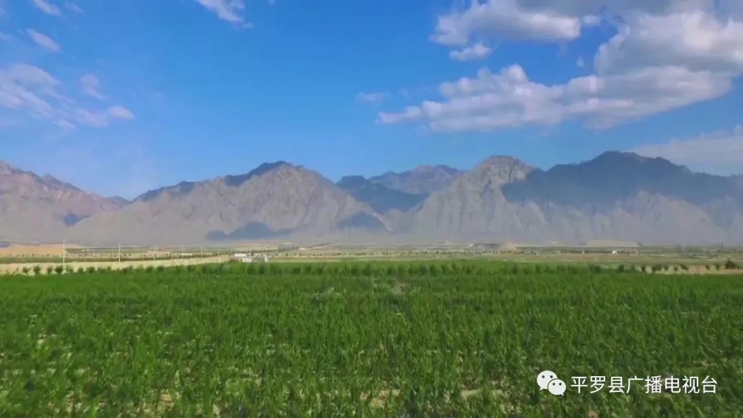 1.webp.jpg 1.webp.jpg