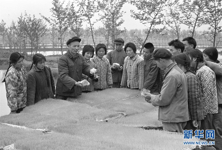 1544411505436007782.jpg 1544411505436007782.jpg