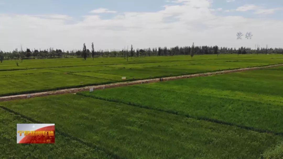 1545615687548048872.jpg 1545615687548048872.jpg