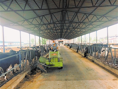 W020190621323012328929.jpg W020190621323012328929.jpg