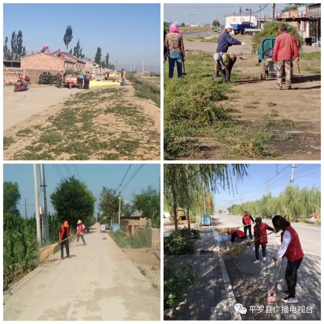 9.webp.jpg 9.webp.jpg