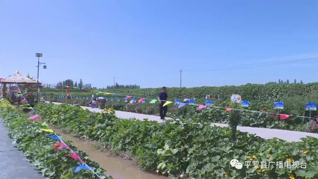 6.webp.jpg 6.webp.jpg