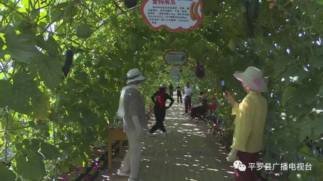 7.webp.jpg 7.webp.jpg