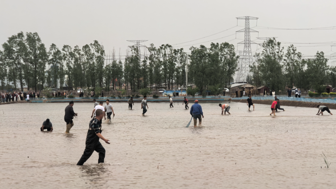 微信图片_2026-05-29_112709_265.png