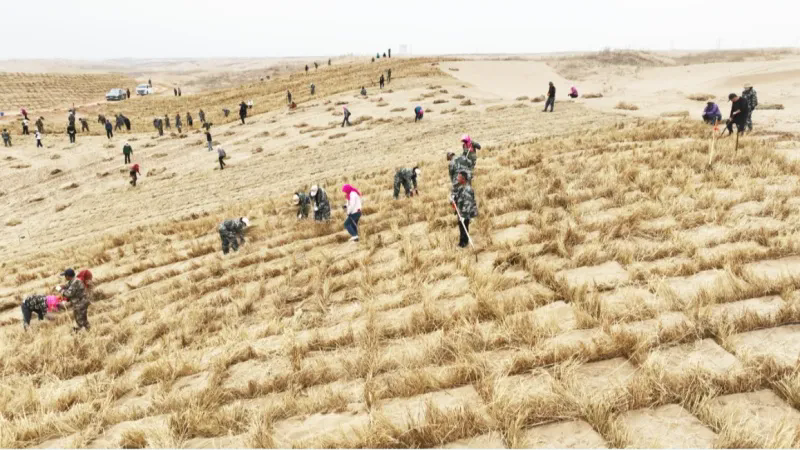 640_wx_fmt=jpeg&from=appmsg&tp=webp&wxfrom=5&wx_lazy=1&wx_co=1.webp (8).png