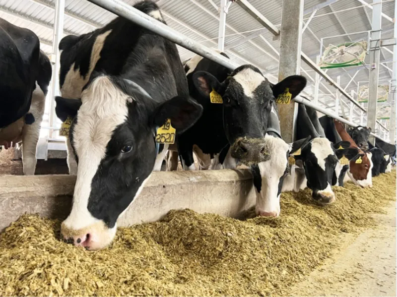 640_wx_fmt=jpeg&from=appmsg&tp=webp&wxfrom=5&wx_lazy=1&wx_co=1.webp (10).png