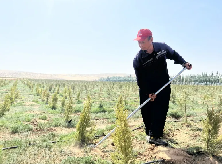 640_wx_fmt=jpeg&from=appmsg&tp=webp&wxfrom=5&wx_lazy=1&wx_co=1.webp (11).png