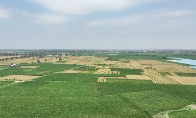 微信图片_2025-07-10_085234_036.png